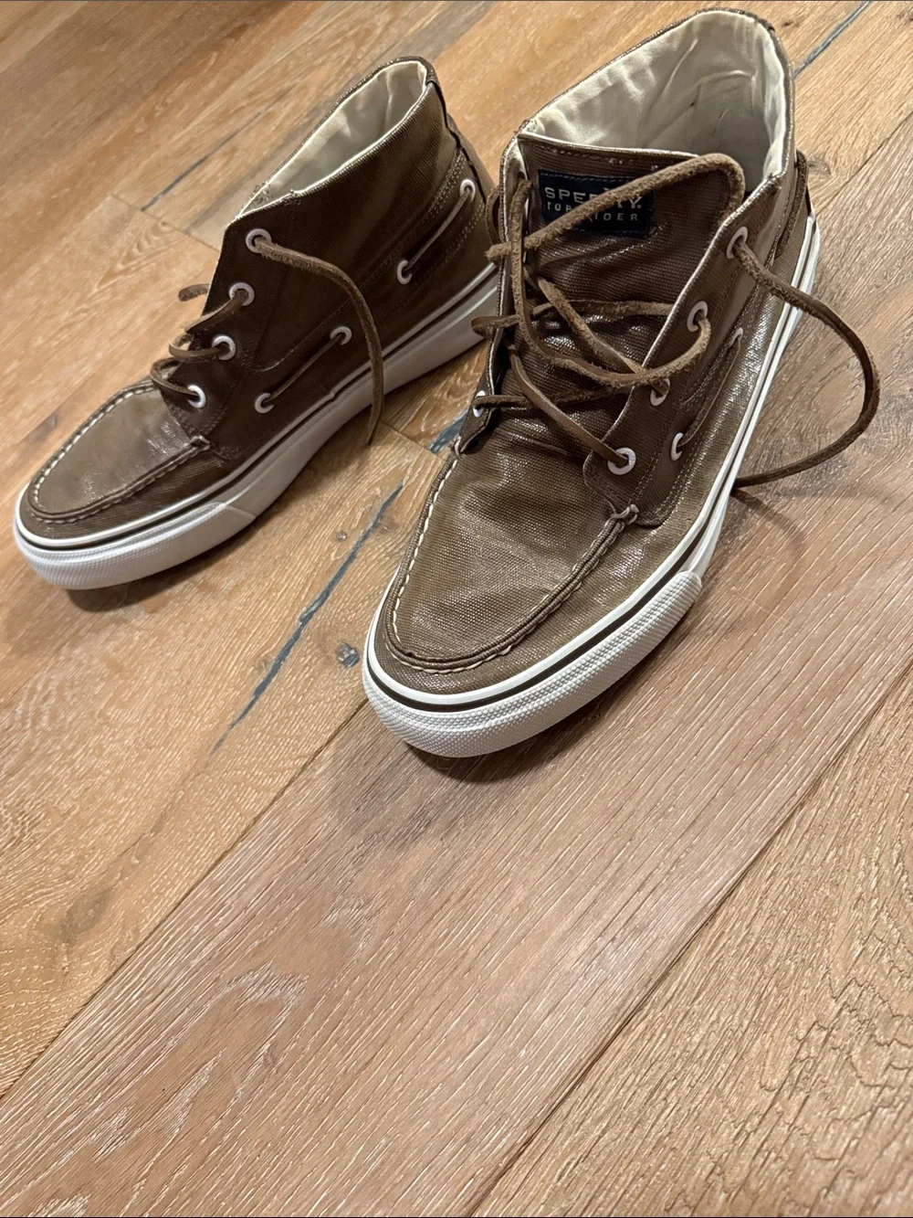 Sperry casual high